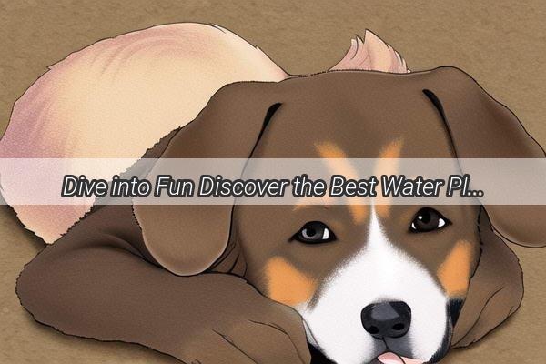 Dive into Fun Discover the Best Water Play Spots for Your Pawsome Pal